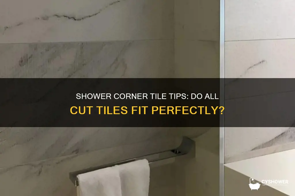do all cut tiles go in the shower corners