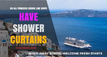 Princess Cruises: Shower Curtain Availability Across All Ships Explained