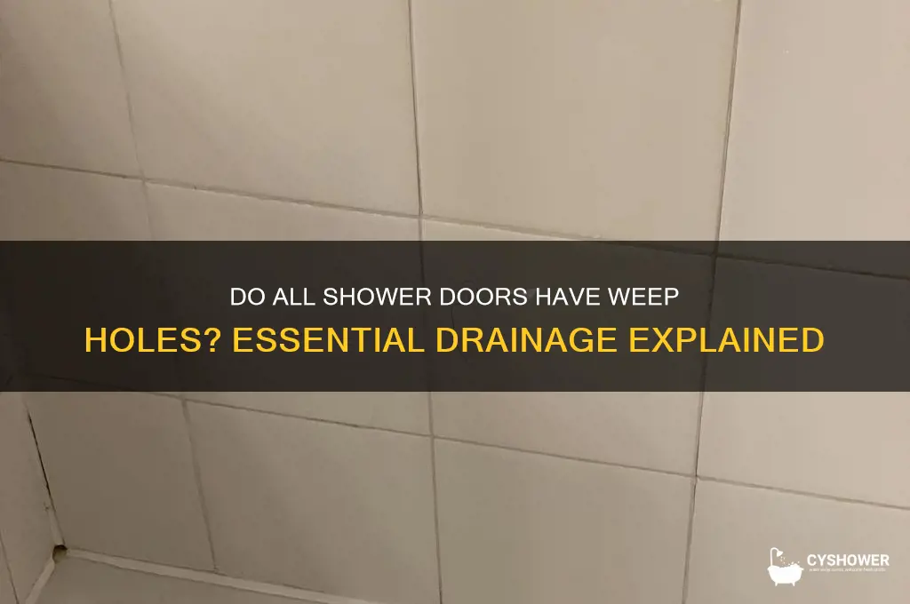 do all shower doors have weep holes