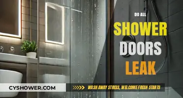 Do All Shower Doors Leak? Uncovering the Truth Behind Common Concerns