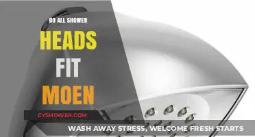 Do All Shower Heads Fit Moen? Compatibility Guide for Easy Installation