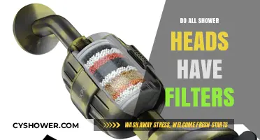 Do All Shower Heads Have Filters? Unveiling the Truth for Cleaner Showers