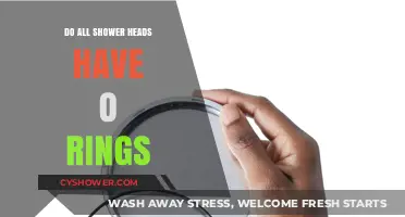 Do All Shower Heads Have O-Rings? A Comprehensive Guide