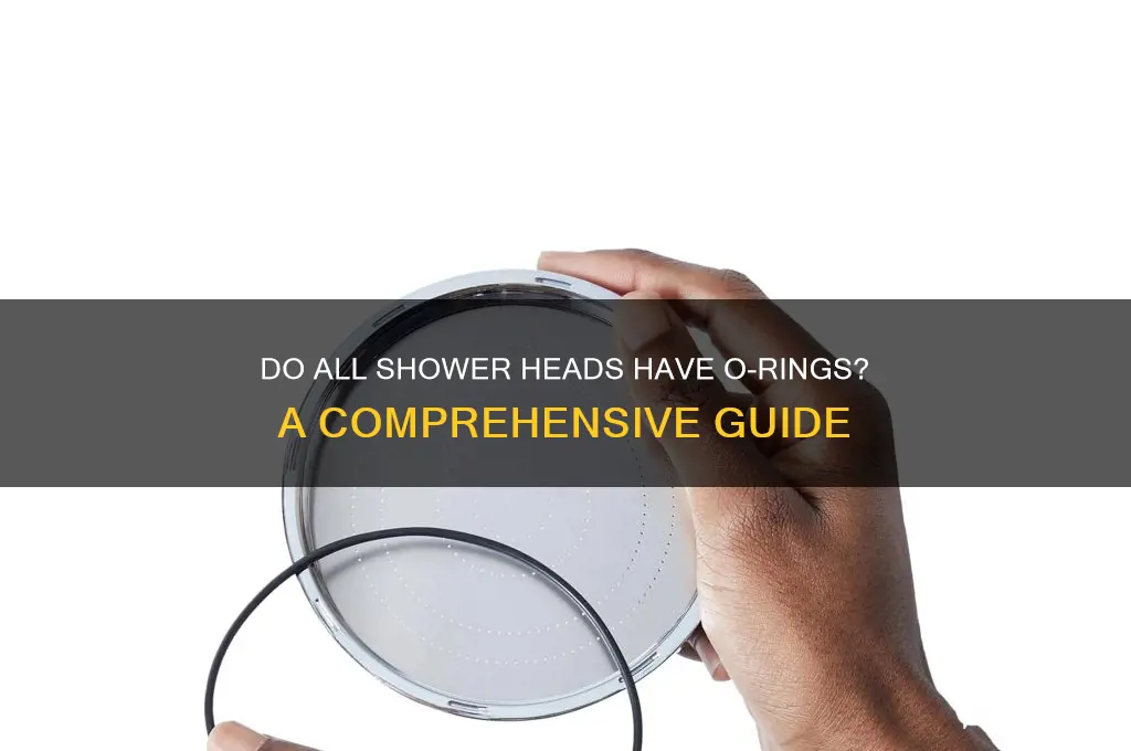 do all shower heads have o rings