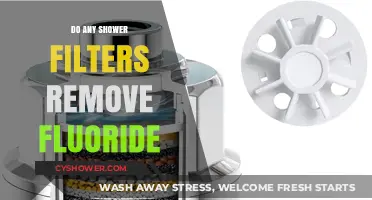 Shower Filters and Fluoride: Do They Effectively Remove It?