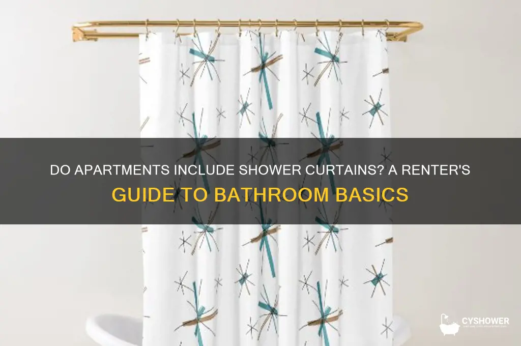 do apartments come with shower curtains