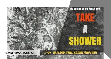 Showering and Bed Bugs: Can Hot Water Kill These Pests?