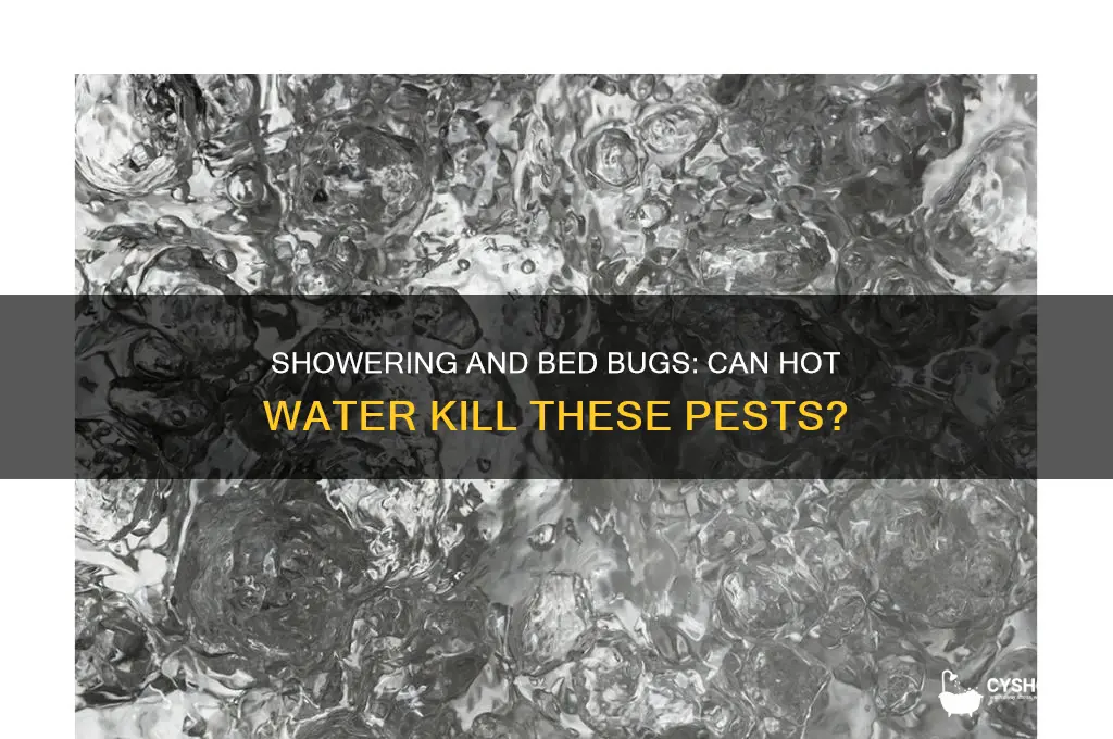 do bed bites die when you take a shower