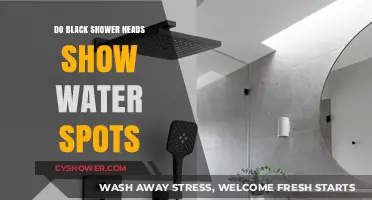 Black Shower Heads: Do They Hide or Highlight Water Spots?