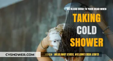 Cold Showers and Blood Flow: Does Your Head Feel the Rush?