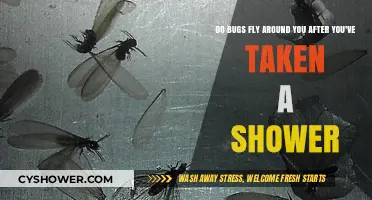 Why Bugs Swarm You After Showering: Unveiling the Science Behind the Buzz