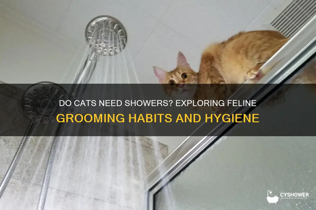 do cats get shower