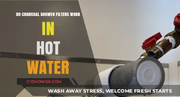 Charcoal Shower Filters: Effective in Hot Water or Not?