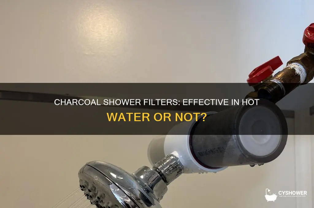 do charcoal shower filters work in hot water