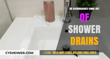 Cockroaches in Shower Drains: Myth or Unwanted Reality?