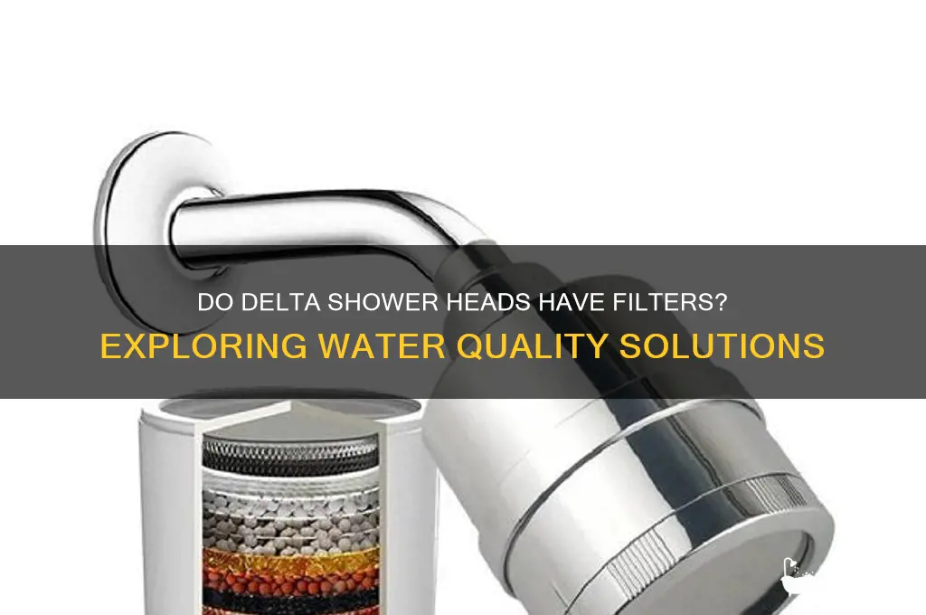 do delta shower heads have filters
