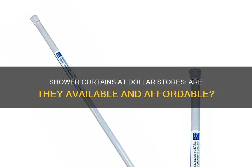 do dollar stores sell shower curtains