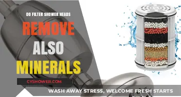 Do Filter Shower Heads Remove Beneficial Minerals? A Deep Dive