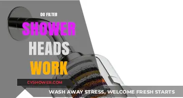 Do Filter Shower Heads Work? Unveiling the Truth Behind Clean Water