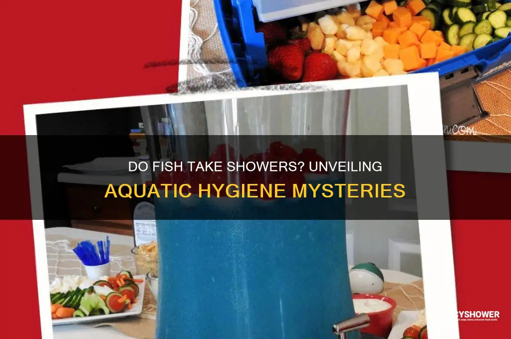 do fish take shower