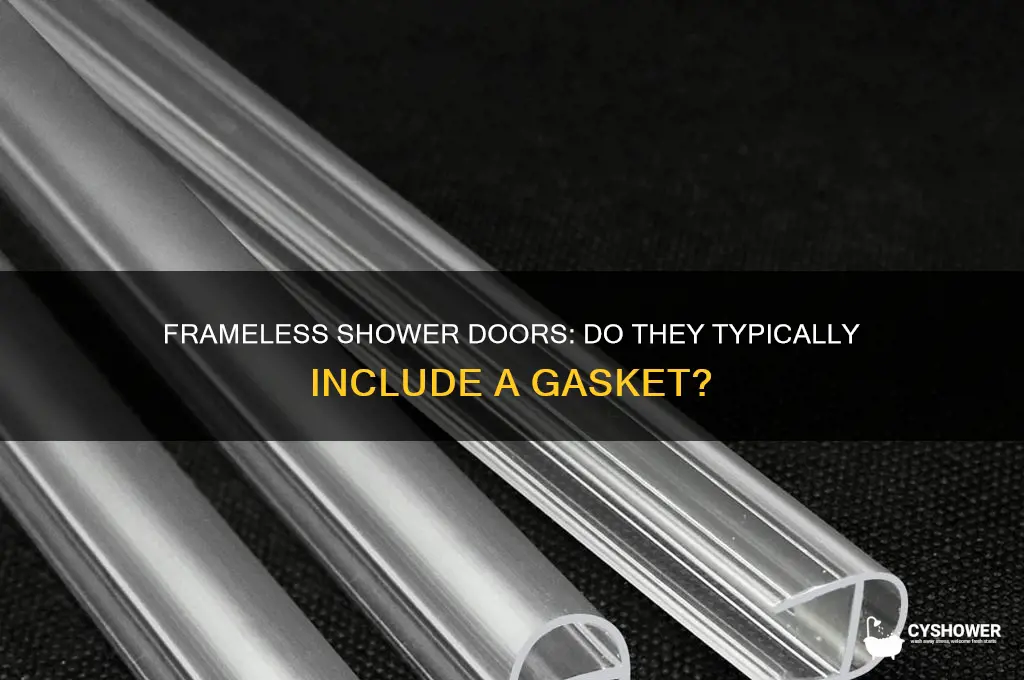 do frameless shower doors usually have a gasket
