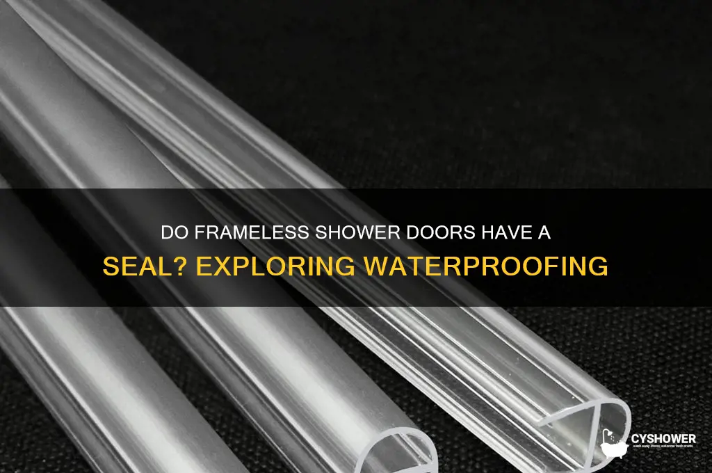 do framesless shower doors have a seal around them