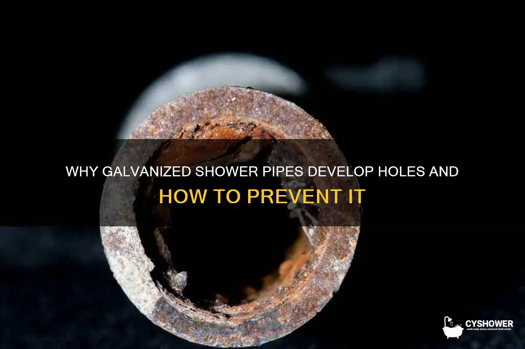 do galvanized pipes to shower get holes in them