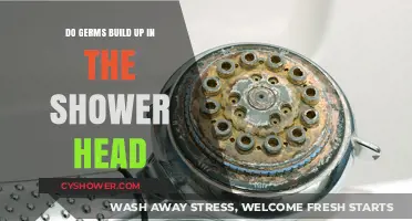 Shower Head Germs: Unseen Buildup and How to Clean It