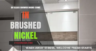Brushed Nickel Glass Shower Doors: Are They a Stylish Option?