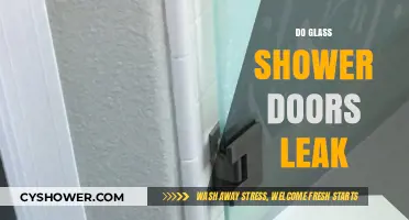 Do Glass Shower Doors Leak? Causes, Prevention, and Solutions