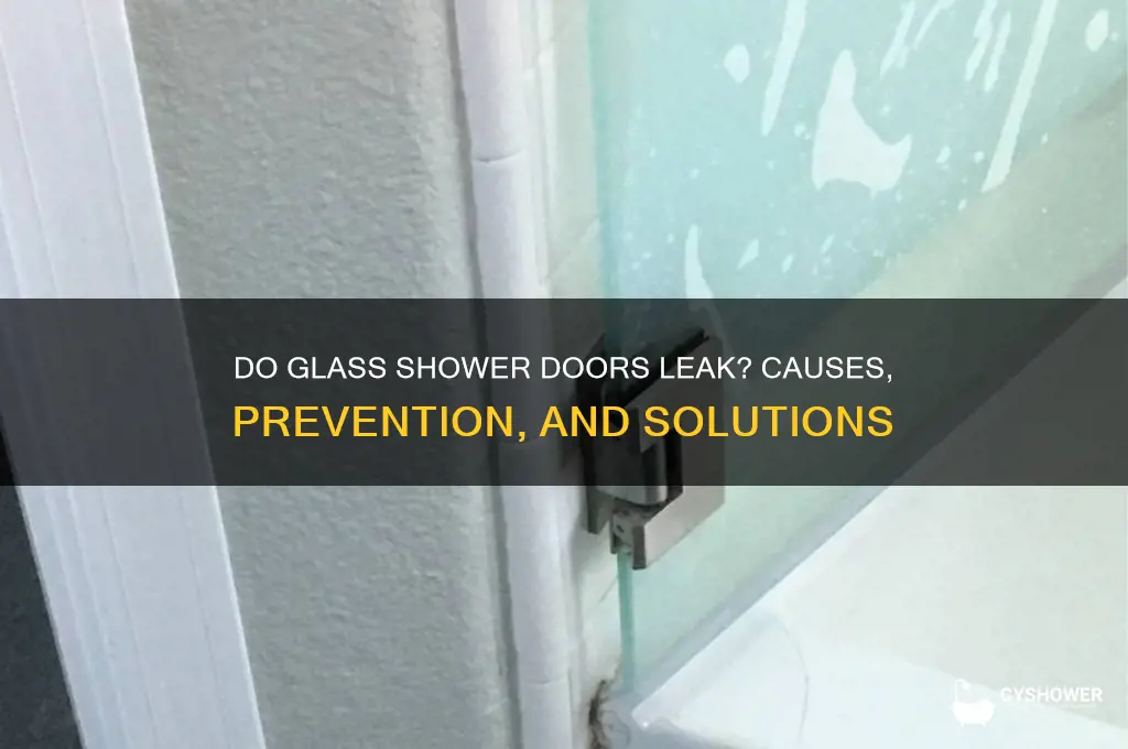 do glass shower doors leak