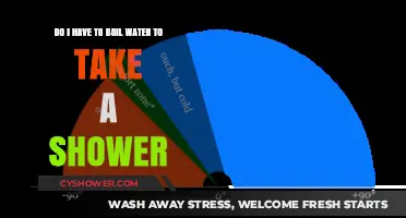 Shower Water Temperature: Is Boiling Necessary for a Safe Bath?