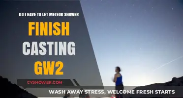 Should You Wait for Meteor Shower to Finish Casting in GW2?