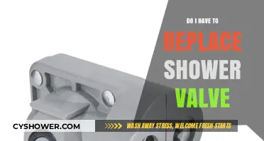 When and Why You Should Replace Your Shower Valve: A Guide
