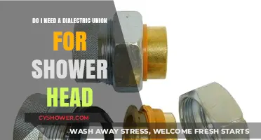 Should You Use a Dielectric Union for Your Shower Head? Explained