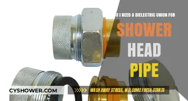 Dielectric Union for Shower Head Pipe: Essential or Optional?