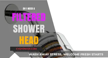 Filtered Shower Head: Essential Upgrade or Unnecessary Luxury for Your Home?