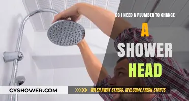 Can You Change a Shower Head Without a Plumber?