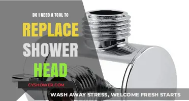 Replacing a Shower Head: Essential Tools or DIY-Friendly Task?