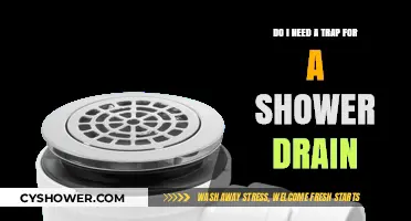 Shower Drain Traps: Essential or Optional? A Homeowner's Guide