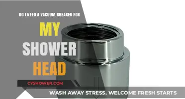 Shower Head Vacuum Breaker: Essential or Optional? A Quick Guide