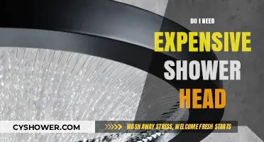 Expensive Shower Heads: Worth the Investment or Overpriced Luxury?