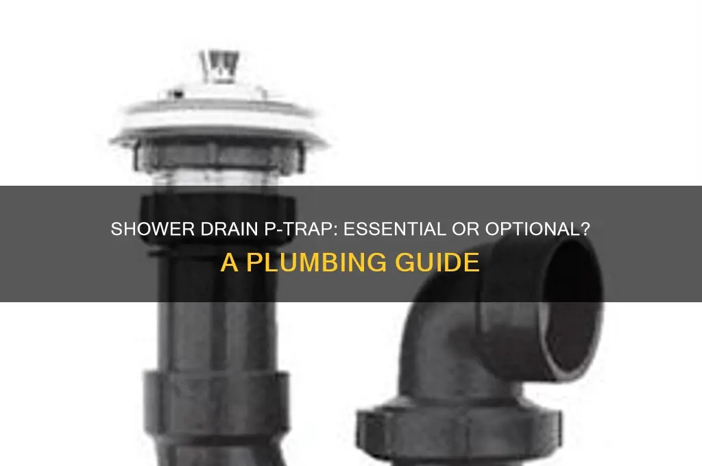 do i need p trap for shower drain