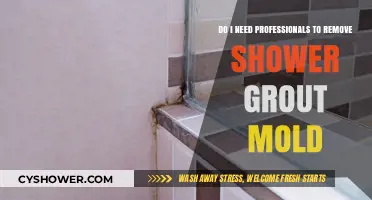 Should You Hire Pros for Shower Grout Mold Removal?