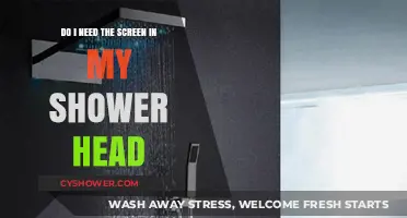 Shower Head Screens: Essential or Optional? A Practical Guide