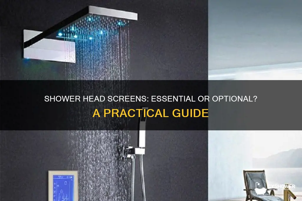 do i need the screen in my shower head
