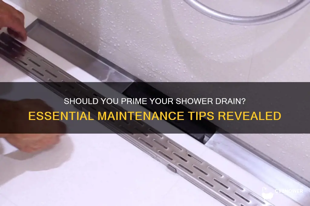 do i need to prime my shower drain