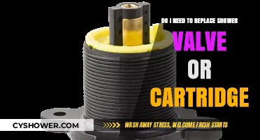 Shower Valve or Cartridge: Which Should You Replace First?