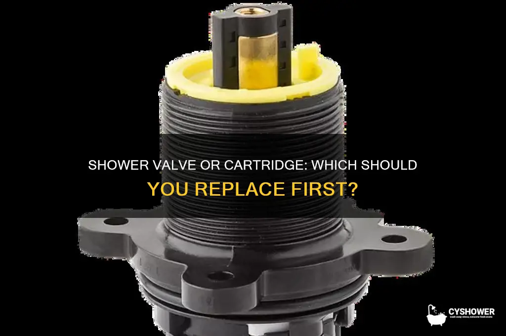 do i need to replace shower valve or cartridge