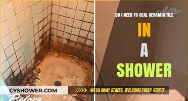 Should You Seal Ceramic Tile in Your Shower? Expert Advice